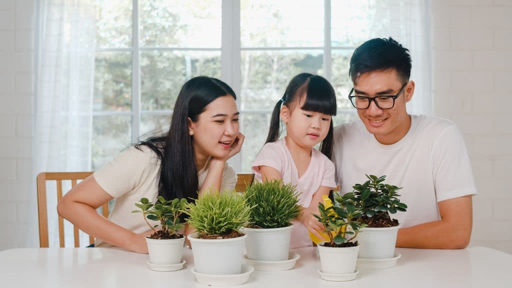 pantang larang kaum cina